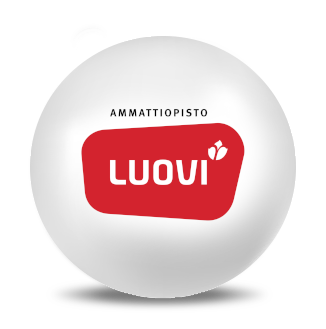 referenssipallo_luovi